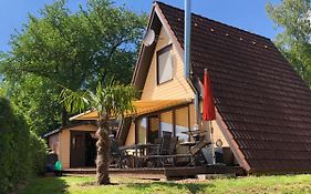 Natur Pur - Waldurlaub im Tiny House